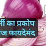 गर्मियों में कच्चा प्याज सेहत का खजाना... भीषण गर्मी में देता है राहत!