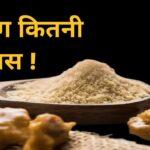 कीचन में स्वास्थ्य का खजाना ‘हींग’... जानिये फायदे और नुकसान!