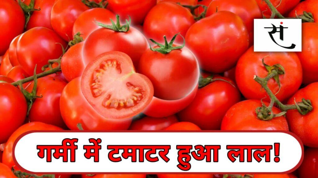 indore-tomato-price-hike